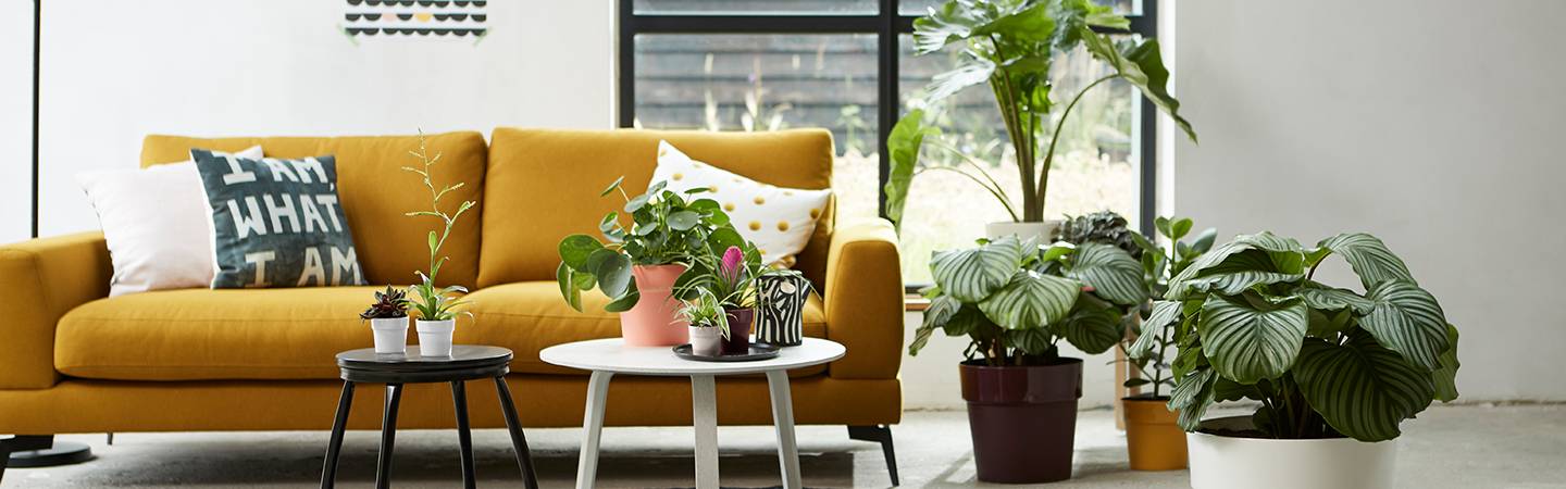 b.for original rond mini 11cm living noir